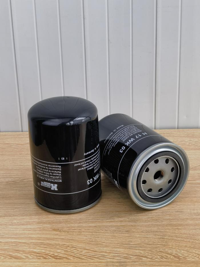 Hengst 亨斯特H17WK03 (1)